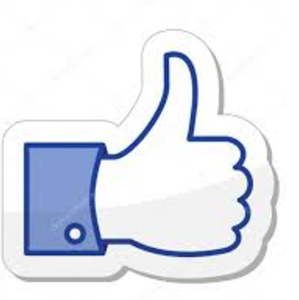 Fundraising Page: Adrienne DeBall